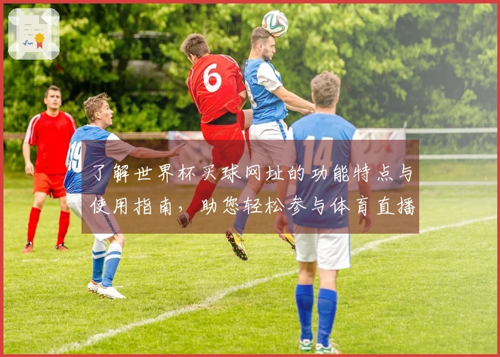 了解世界杯买球网址的功能特点与使用指南，助您轻松参与体育直播体验