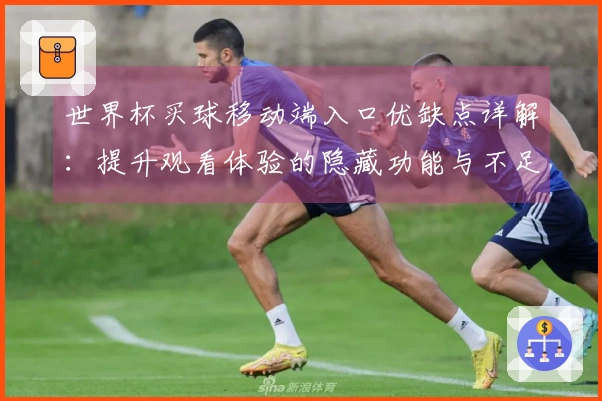 世界杯买球移动端入口优缺点详解：提升观看体验的隐藏功能与不足之处