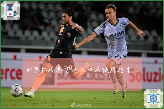 世界杯观赛官方入口及使用指南_1