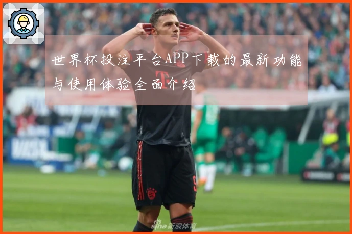 世界杯投注平台APP下载的最新功能与使用体验全面介绍