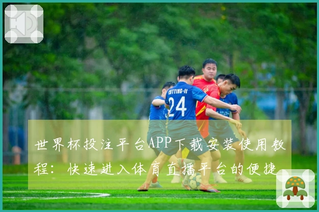 世界杯投注平台APP下载安装使用教程：快速进入体育直播平台的便捷指南