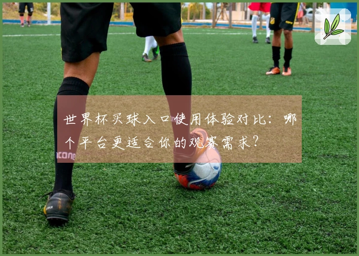 世界杯买球入口使用体验对比：哪个平台更适合你的观赛需求？
