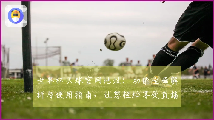 世界杯买球官网地址：功能全面解析与使用指南，让您轻松享受直播体验