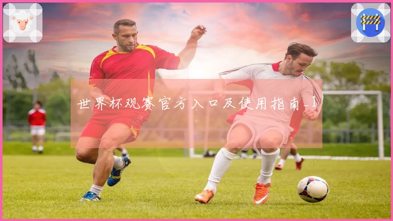 世界杯观赛官方入口及使用指南_1
