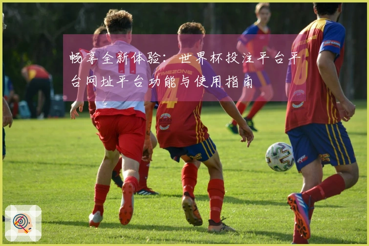 畅享全新体验：世界杯投注平台平台网址平台功能与使用指南