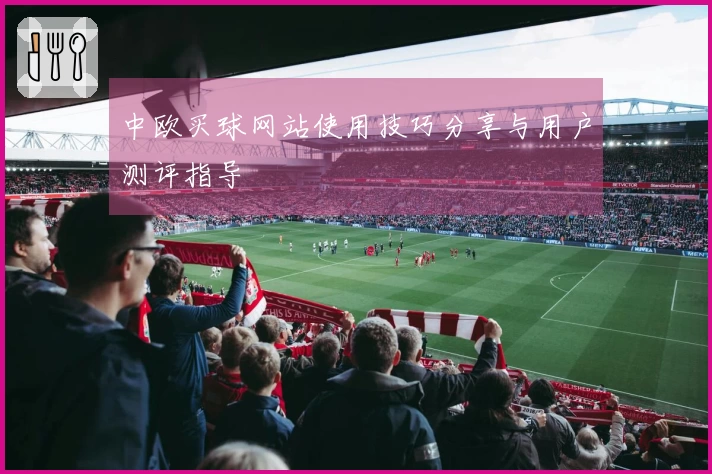 中欧买球网站使用技巧分享与用户测评指导