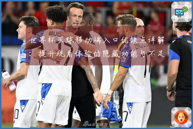 世界杯买球移动端入口优缺点详解：提升观看体验的隐藏功能与不足之处
