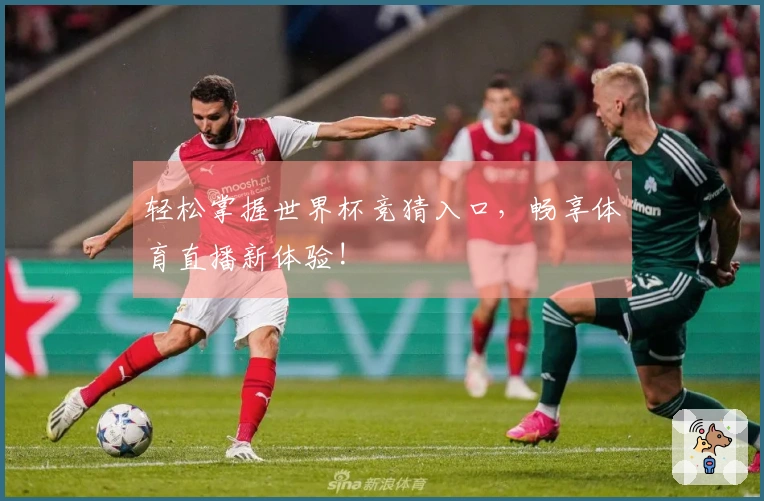 轻松掌握世界杯竞猜入口，畅享体育直播新体验!