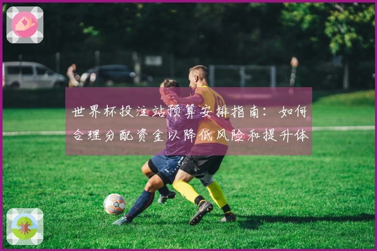 世界杯投注站预算安排指南：如何合理分配资金以降低风险和提升体验