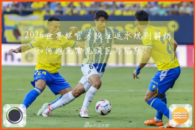2026世界杯官方投注返水规则解析，如何避免常见误区与陷阱？