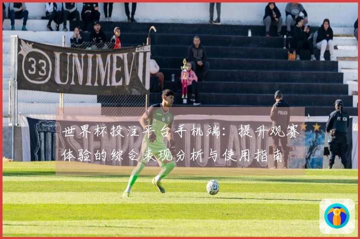 世界杯投注平台手机端：提升观赛体验的综合表现分析与使用指南